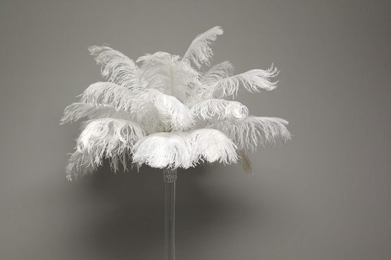 1-100 Pcs 1316 Wholesale Beautiful Ostrich Feathers for