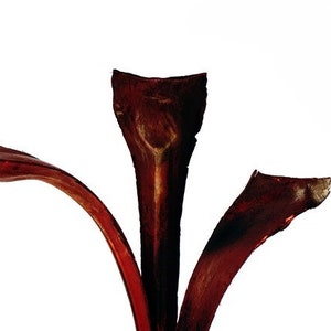 3PC Burgundy Ninja Sticks/Cones/Pine Cones On Sticks/Rustic Decor Idea/Rustic Bowl Filler/Home Decor/Rustic Table Decor/Vase Filler