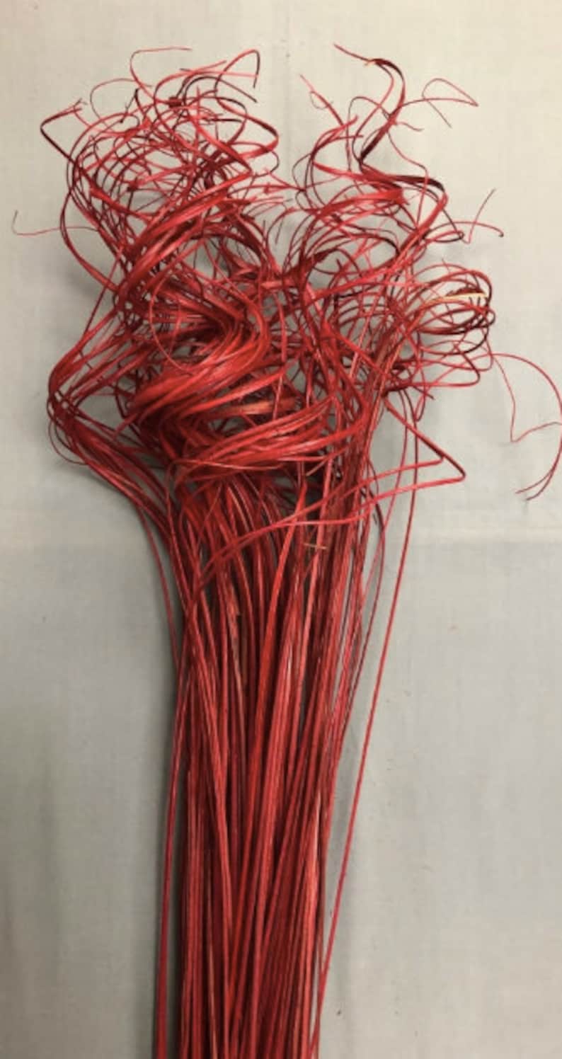 Red Curly Twigs/Branches/Centerpiece decor/ Winter Etsy