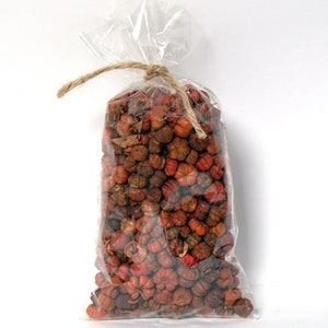 May include: A clear plastic bag filled with dried orange and brown mini pumpkins. The bag is tied with a brown twine.