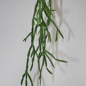 24&quot; Seaweed Plant/Sprays/Greenery/Succulents/Terrarium Decor/Wedding Centerpieces/Home Decor/Faux Flowers/Silk Flowers/Flower Bouquet