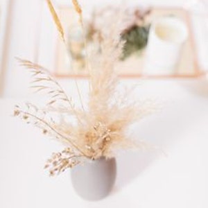 MINI 6-8&quot; 5-100pcs x 2ft Ivory Pampas Grass/Pampas Bundle/Home Decor/Rustic Wedding Decor/Brown Pampas/Ivory Pampas/ Natural Pampas