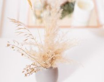 MINI 6-8 "5-100 Stück x 2 ft Elfenbein Pampasgras / Pampas Bundle / Wohnkultur / rustikale Hochzeitsdeko / braune Pampas / elfenbeinfarbene Pampas / natürliche Pampas