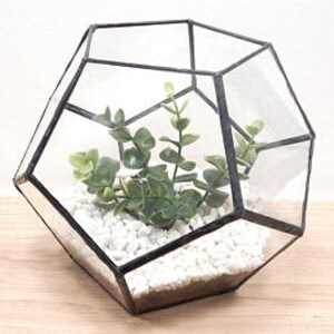 Black Soccer 6.5&quot;x8&quot; Glass Geometric Terrarium/ Wedding Table Decor/ Succulent Planter/Air Plants Glass Vase/Terrarium Kit/ Terrarium Gift/