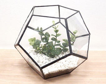 Black Soccer 6.5"x8" Glass Geometric Terrarium/ Wedding Table Decor/ Succulent Planter/Air Plants Glass Vase/Terrarium Kit/ Terrarium Gift/