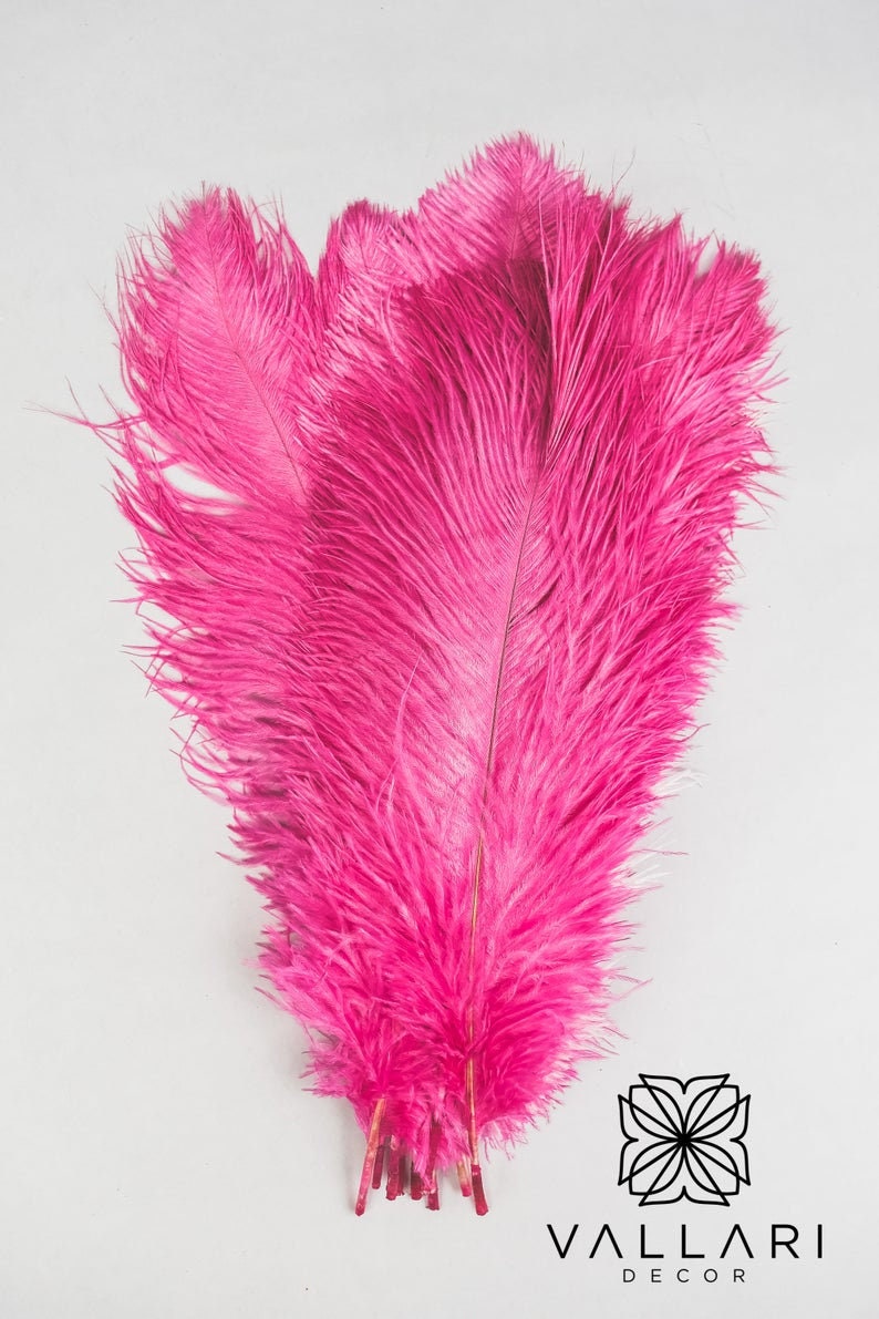 20 Chandelier Vase Ostrich Feather Centrepiece Kit Etsy