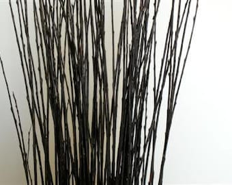 May include: A bunch of black twigs, arranged in a vase or other container, for use in floral arrangements or home decor.