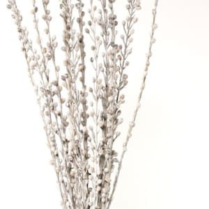May include: A bunch of white dried floral stems with small white berries. The stems are thin and delicate, and the berries are clustered together.
