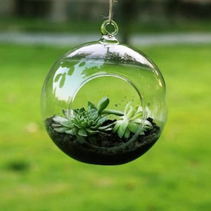 Terrarium rond bulle, terrarium géométrique en verre, jardinière moderne, pièce maîtresse de mariage, terrarium pour plantes aériennes, jardinière succulente, #GiftsforHer