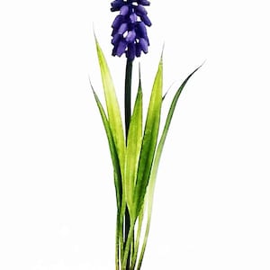 Brass Curio - Hyacinth Flower Stem