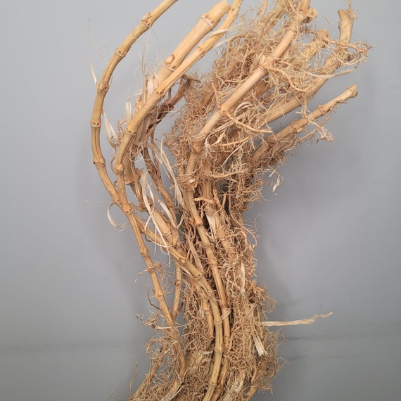 Dried Decorative Branches, Natural Branches, Brown Branches