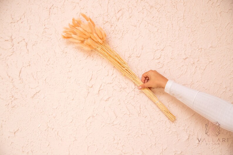 May include: A bouquet of dried pampas grass in a light peach color. The stems are bundled together and held by a hand.