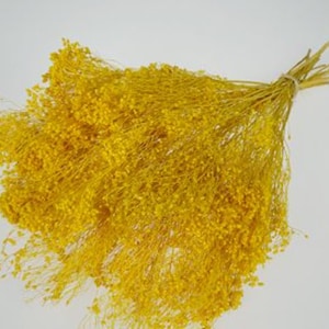 Retama amarilla de terracota seca de 43 cm, para otoño, Acción de Gracias, decoración de mesa, decoración del hogar, decoración de otoño, decoración de interiores, artificial