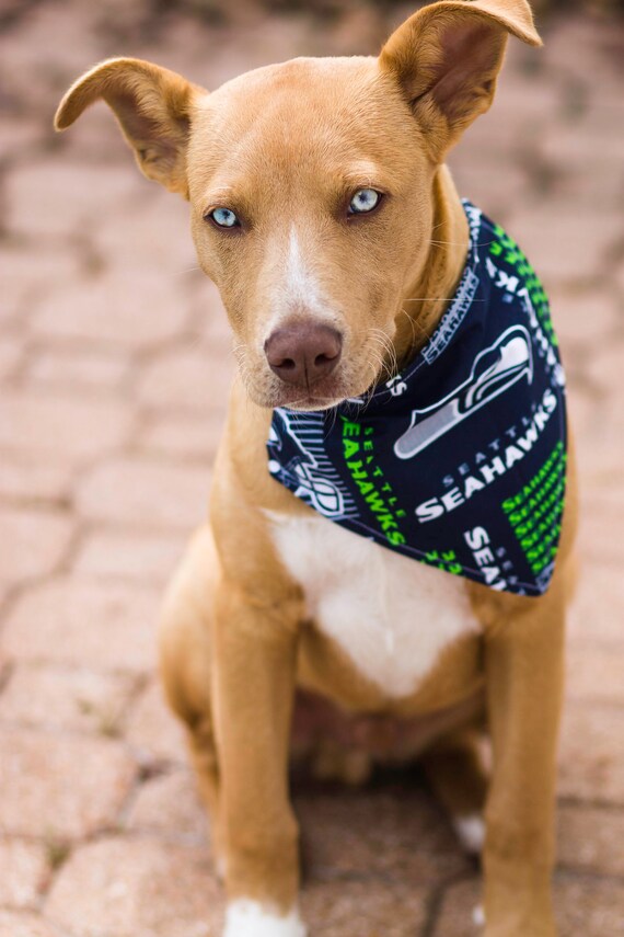 seahawks dog jersey