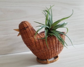 May include: A brown wicker bird-shaped planter with a green air plant inside. The planter has a small beak and a round base.