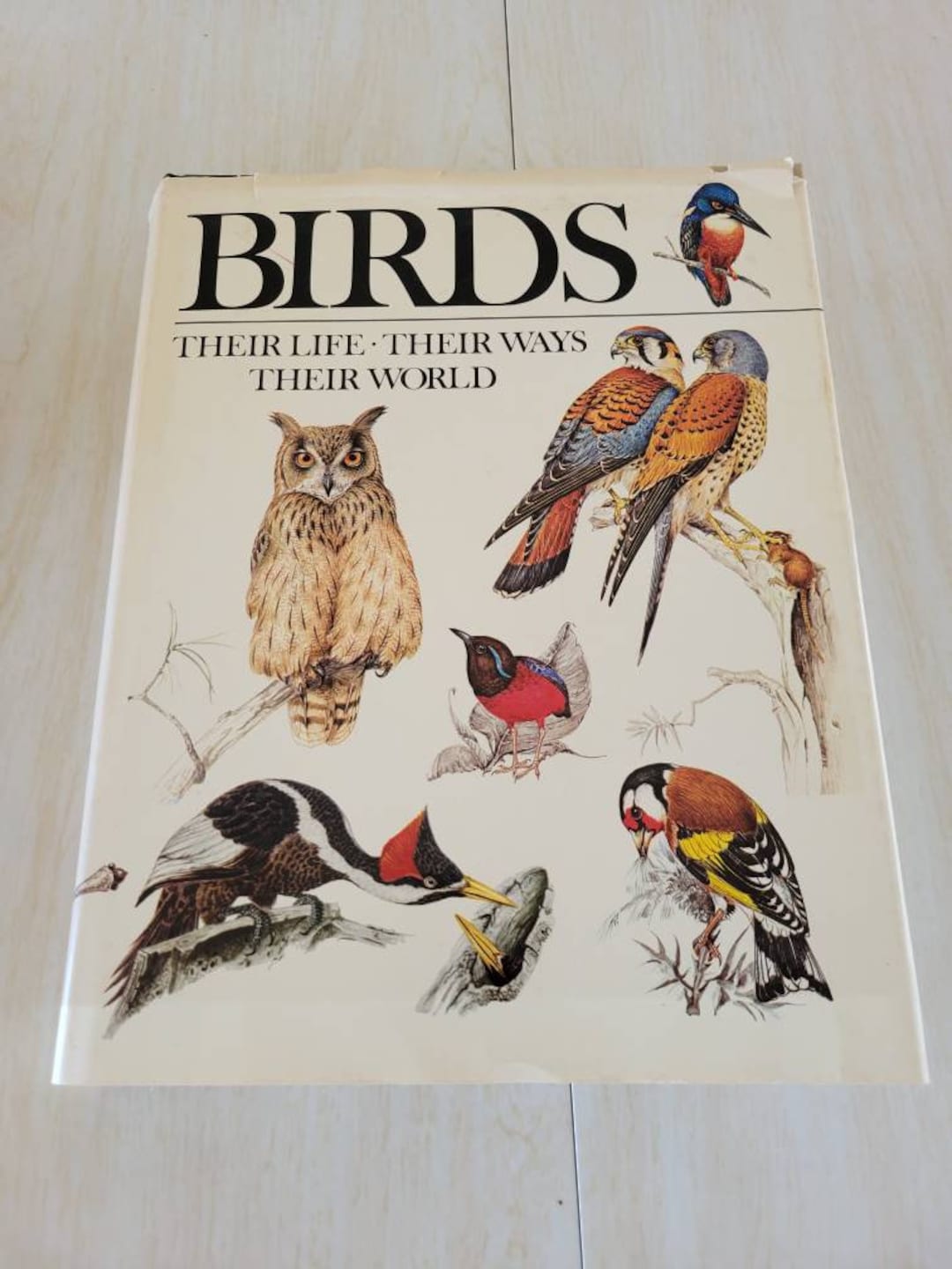 Vintage Readers Digest BIRDS Book - Etsy