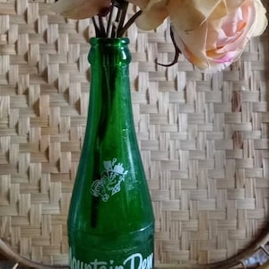 Vintage rare MOUNTAIN DEW old soda bottle