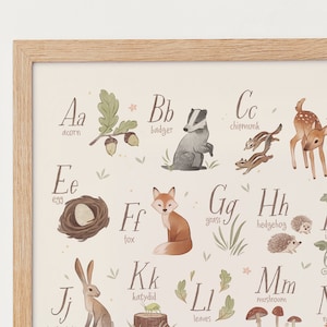 Woodland Alphabet Poster, Woodland Alphabet Print, Woodland Nursery, Enchanted Forest Nursery, Woodland Art Print, Woodland ABC, Printable image 1