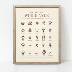 Tierspuren Poster, Waldtiere Poster, Waldtiere Kinderzimmer Dekor, Waldkinderzimmer, Waldtiere Kunstdruck, Digitaler Download