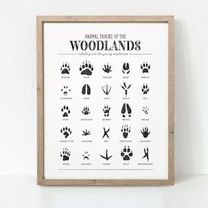 Animal Tracks Print, Woodland Animal Prints Poster, Woodland Nursery Decor, Woodland Nursery, Woodland Art Print, Digital Download
