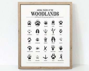 Animal Tracks Print, Woodland Animal Prints Poster, Woodland Nursery Decor, Woodland Nursery, Woodland Art Print, Digital Download