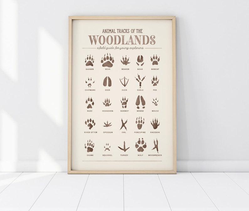 May include: A printable chart with illustrations of animal tracks from the woodlands. The chart is titled "Animal Tracks of the Woodlands: a field guide for young explorers". The chart includes tracks for animals such as badger, bear, beaver, boar, bobcat, chipmunk, deer, duck, eagle, fox, hare, hedgehog, marmot, mouse, river otter, opossum, owl, porcupine, raccoon, skunk, squirrel, turkey, wolf, and woodpecker.