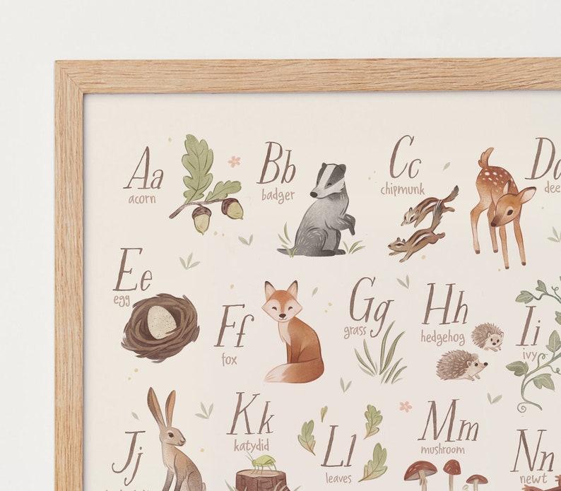 May include: A framed alphabet print featuring woodland animals and plants. The letters A through N are displayed with illustrations of an acorn, badger, chipmunks, deer, egg, fox, grass, hedgehog, ivy, katydid, leaves, mushroom, and newt.