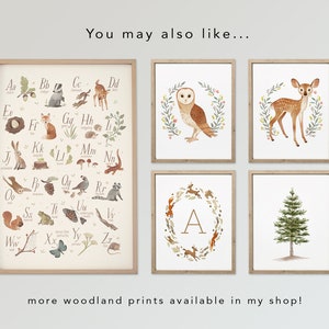 May include: A set of six woodland-themed prints featuring an alphabet chart, an owl, a deer, a tree, and a wreath with the letter A. The prints are framed in natural wood.