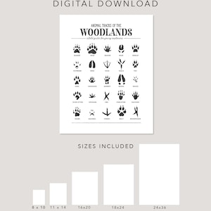 Animal Tracks Print, Woodland Animal Prints Poster, Woodland Nursery Decor, Woodland Nursery, Woodland Art Print, Digital Download image 4