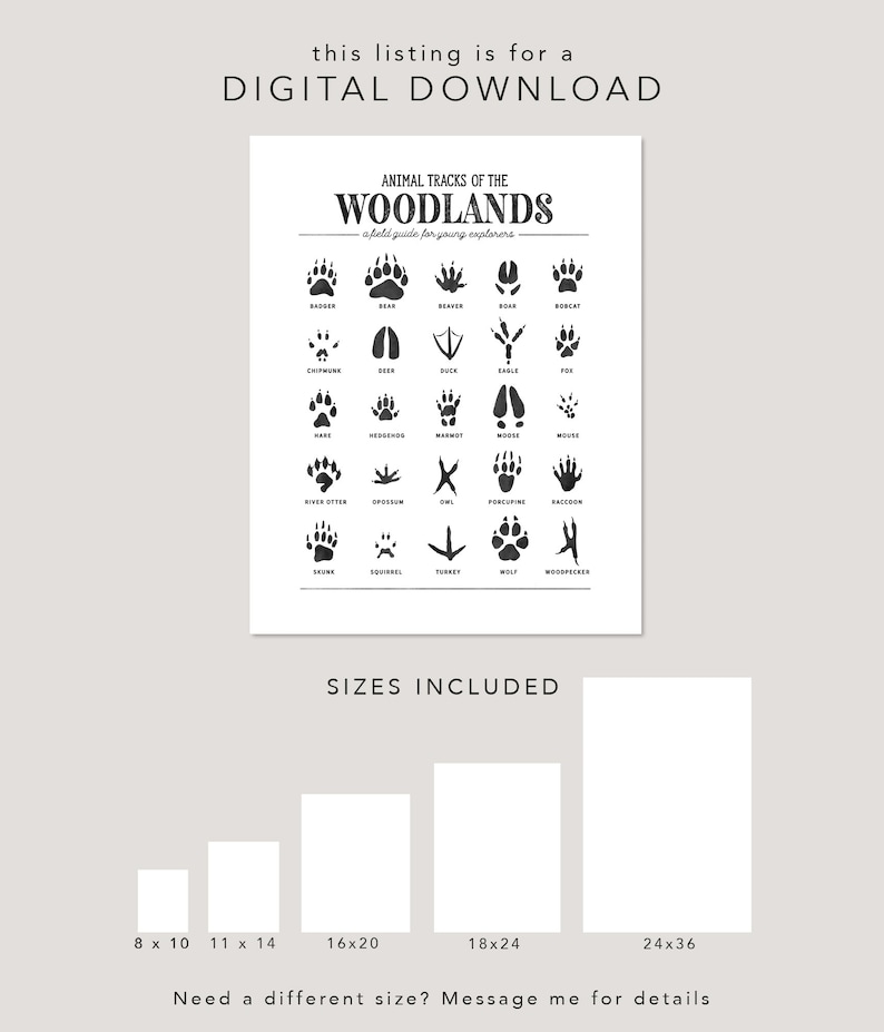 Animal Tracks Print, Woodland Animal Prints Poster, Woodland Nursery Decor, Woodland Nursery, Woodland Art Print, Digital Download image 4