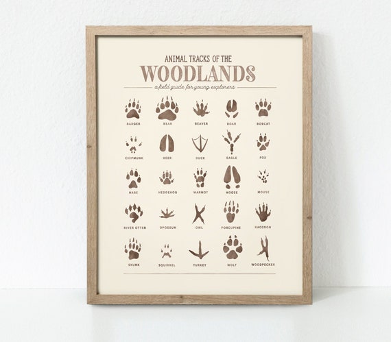 Animal Tracks Print, Woodland Animal Prints Poster, Woodland Nursery Decor, Woodland Nursery, Woodland Art Print, Digital Download