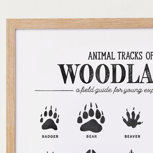 Animal Tracks Print, Woodland Animal Prints Poster, Woodland Nursery Decor, Woodland Nursery, Woodland Art Print, Digital Download image 3