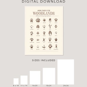 May include: A printable chart of animal tracks in the woodlands. The chart features illustrations of various animal tracks, including bear, deer, rabbit, squirrel, and more. The chart is labeled "Animal Tracks of the Woodlands: A field guide for young explorers".