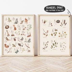 May include: Two framed prints. One features the alphabet with woodland creatures and plants. The other displays numbers with corresponding illustrations of nature elements. The text "NUMBERS PRINT also available in the shop" is included.