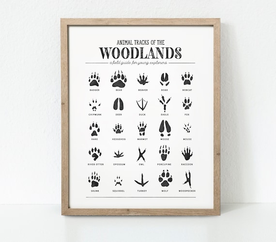 Animal Tracks Print, Woodland Animal Prints Poster, Woodland Nursery Decor, Woodland Nursery, Woodland Art Print, Digital Download