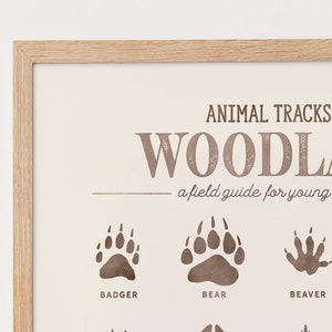 May include: A framed print with the title "Animal Tracks of the Woodland: A field guide for young explorers". The print features illustrations of animal tracks, including a badger, bear, and beaver.