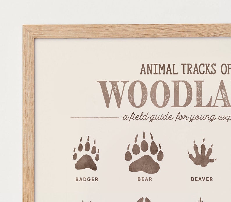 May include: A framed print with the title "Animal Tracks of the Woodland: A field guide for young explorers". The print features illustrations of animal tracks, including a badger, bear, and beaver.