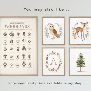 Woodland Alphabet Poster, Woodland Alphabet Print, Woodland Nursery, Enchanted Forest Nursery, Woodland Art Print, Woodland ABC, Printable image 7