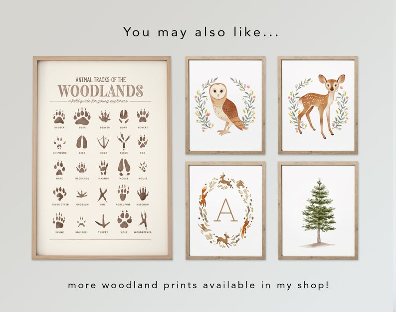 Woodland Alphabet Poster, Woodland Alphabet Print, Woodland Nursery, Enchanted Forest Nursery, Woodland Art Print, Woodland ABC, Printable image 7