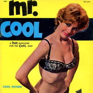 Magazine    Mr. Cool Magazine  1960  A Hot Magazine for the Cool Man  Well-known Nudist-Model Diane Webber  Pinups Stories    mature