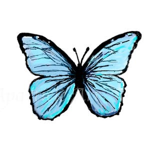 May include: A digitally drawn butterfly with light blue wings and black outlines. The butterfly's wings are detailed with dark blue veins, and the body is black. The image is set against a plain white background.