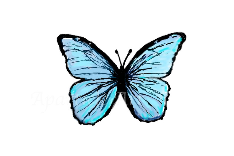 May include: A digitally drawn butterfly with light blue wings and black outlines. The butterfly's wings are detailed with dark blue veins, and the body is black. The image is set against a plain white background.