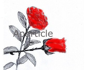 Direct download drawing / two red roses / digital art / fine art / black red print / hand draw / hand drew