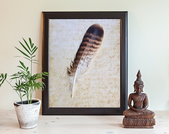 Bird of prey feather image photo original photography art spiritual image real bird feather brown sepia writing background