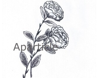 Direct download sketch two flowers black / black white / sketches / digital prints / art gallery