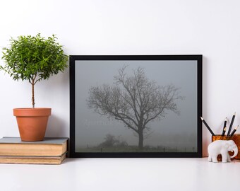 Downloadable tree in the fog picture print gray misty background photographic creepy art mysterious nature picture printable home decorating