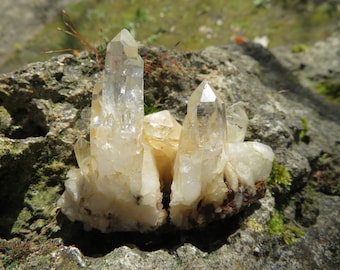 wunderschöne Bergkristall Familie ca. 75 Gramm 7cm Kristall Steine Mineralien Kristalle Deko Aura Heilsteine Chakren Esoterik Landschaft