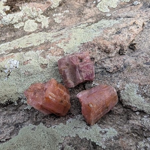 Puede incluir: Tres cristales minerales en bruto y sin pulir con un tono rosado rojizo distintivo. Cada piedra presenta una estructura prismática en bloque con estrías naturales visibles y superficies irregulares y texturizadas.