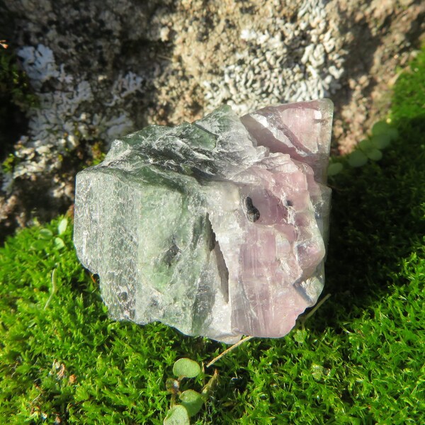 Bi-Colour Turmalin 13 Gramm 3,3cm Steine Mineralien Kristalle natürlich Reiki Esoterik Ritualstein Schutzstein roh Rohstein selten rosa