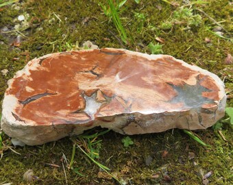 lovely Star Agate slice 13cm x 6cm x 2,5cm ca. 286 grams quartz stone psy hippie goa deco minerals decoration healing stone mountain